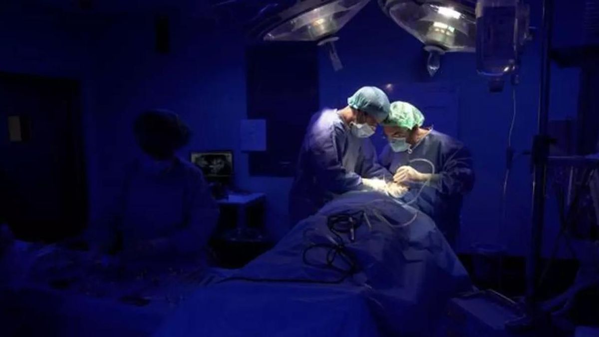 Condena a la sanidad canaria por su “odioso interés” en 'echar' a una cirujana residente que denunció acoso laboral