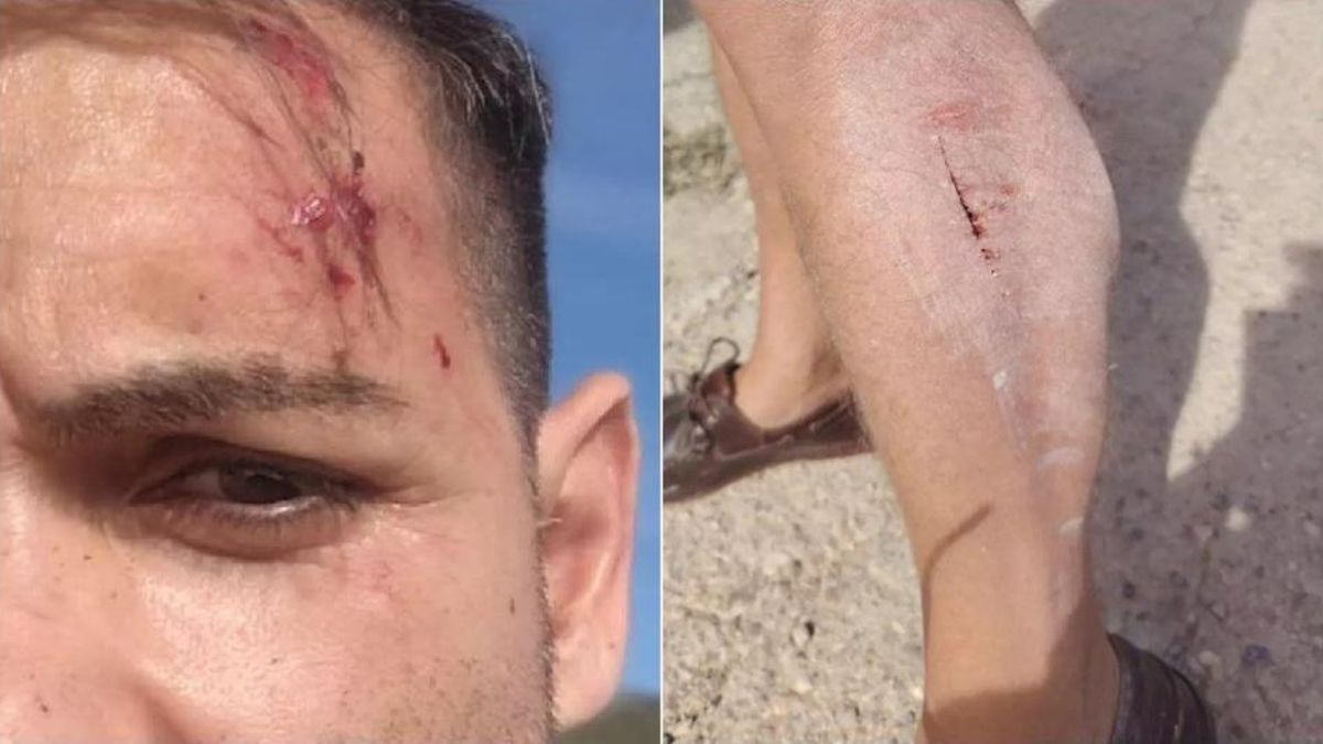 Agreden a un redactor y a un cámara de À Punt mientras informaban sobre la fuga de vacas bravas en Alcalà de Xivert