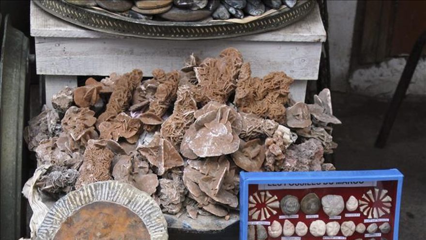 Los fósiles son mercancía de compra y venta en Marruecos