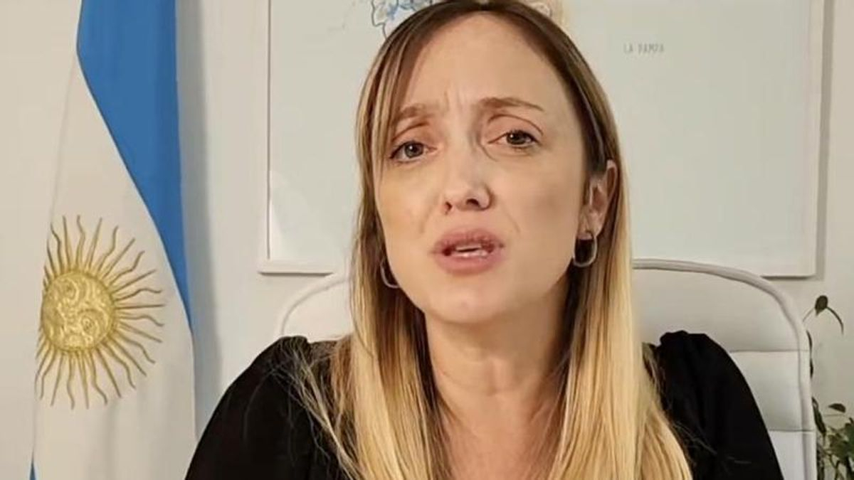 "¿Me van a dejar sin votar por estar embarazada?": el pedido de una senadora para participar virtual en la ley de Tierras