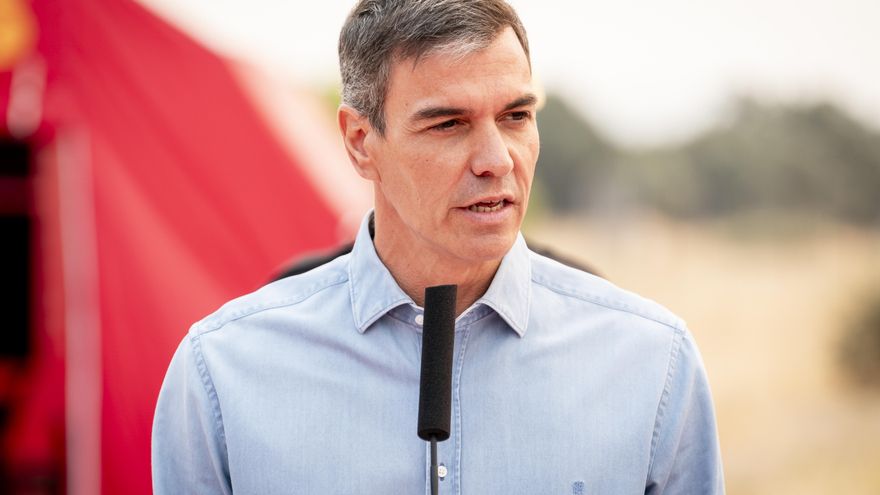El líder del PSOE y presidente del Gobierno, Pedro Sánchez.