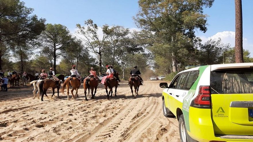 Un caballo en el Camino de Moguer, primer fallecido en la romería de El Rocío en este año