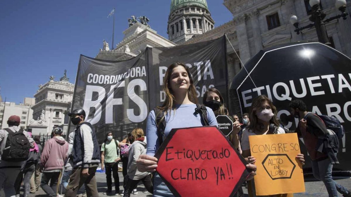 La Ley de Etiquetado Frontal fue sancionada en octubre de 2021 tras años de debates legislativos, campañas de organizaciones sociales y discusiones públicas sobre alimentación y salud pública.