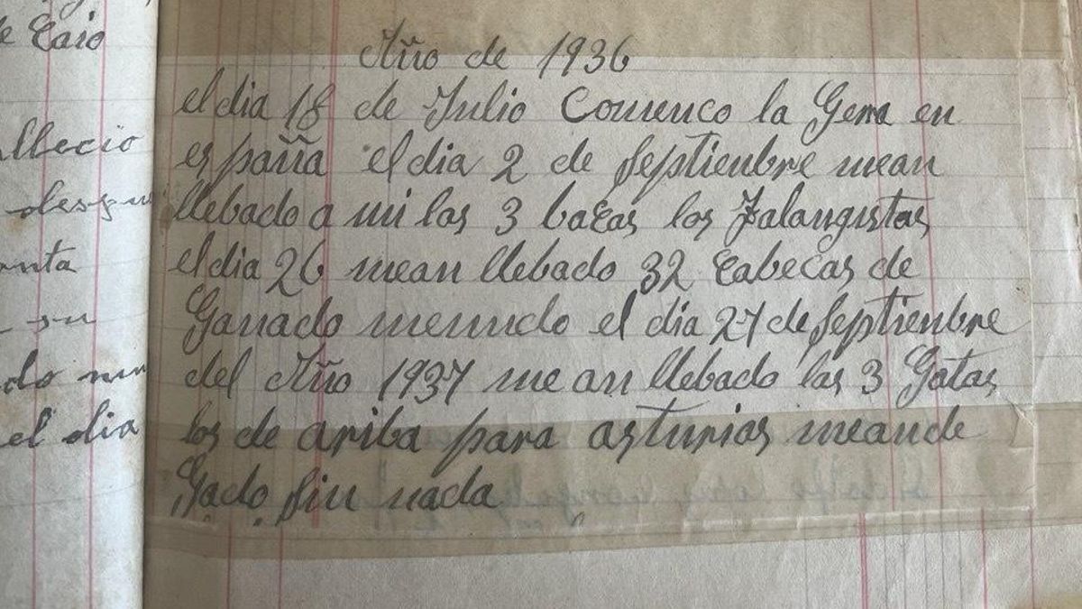 Fragmento del diario de Araceli López.