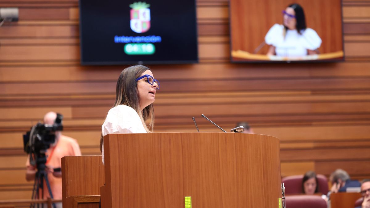 El Consultivo de Castilla y León aprecia inconstitucionalidad en la ley de publicidad de PSOE y Vox