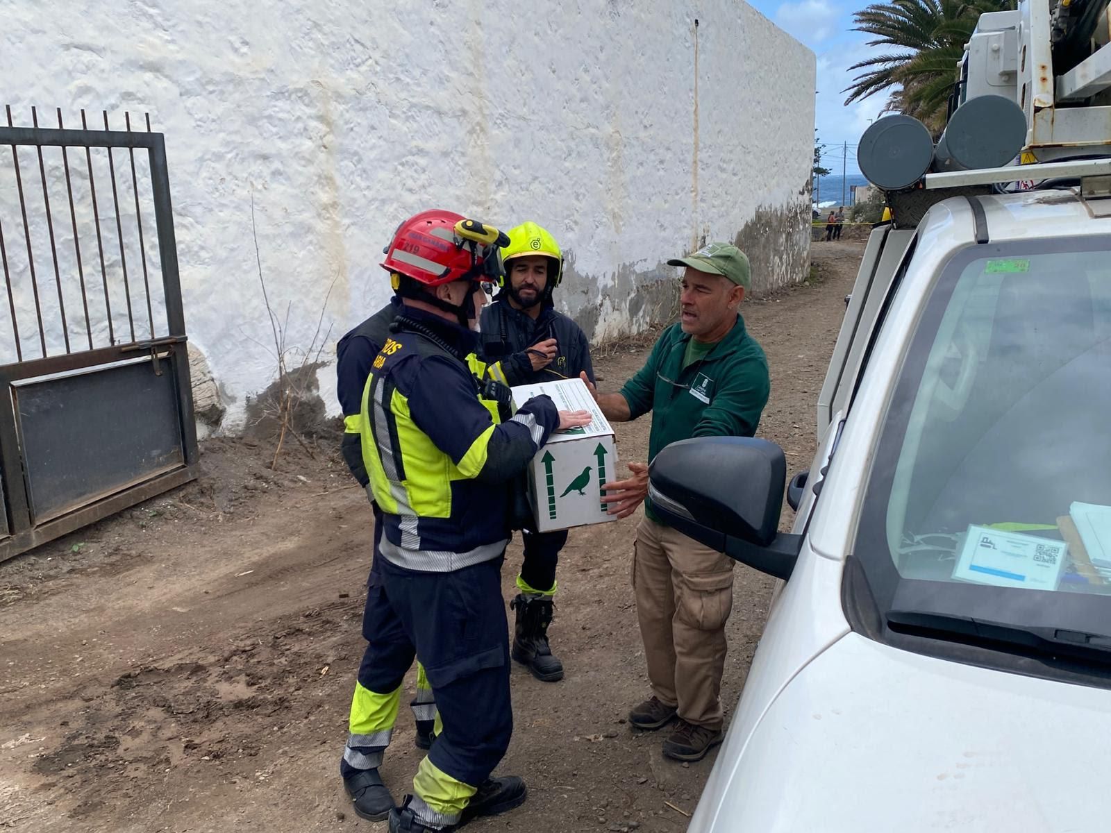 Operativo para la recuperación de la pardela.