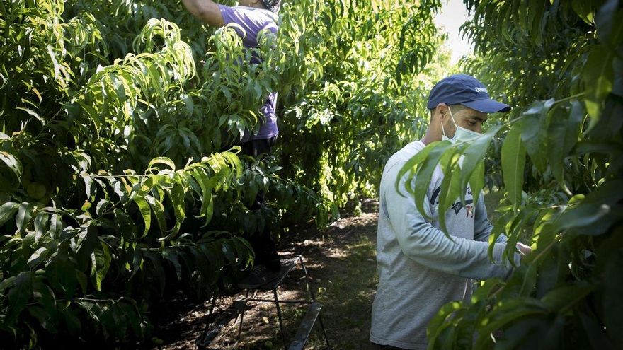 UGT y CCOO: "La patronal del campo de Extremadura empeora las condiciones laborales para garantizar sus beneficios"