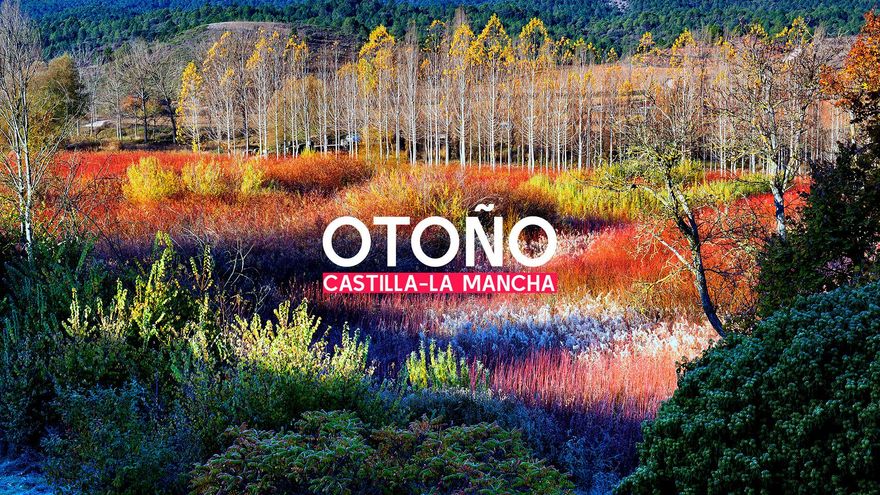 Portada ESPECIAL | Castilla-La Mancha en otoño