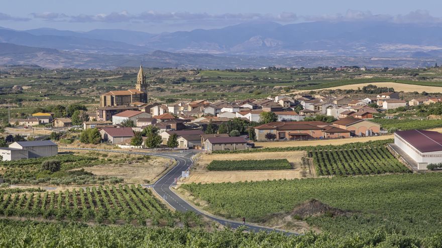 Álava ve que Rioja busca "desanimar" a las bodegas con deseos de independizarse de la denominación de origen