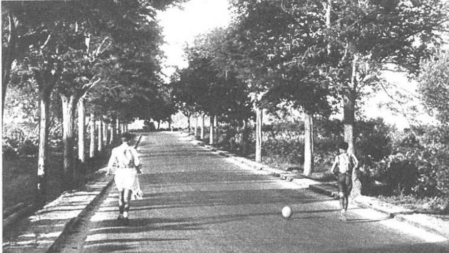 La historia no contada de los deportistas de las Olimpiadas antifascistas de Barcelona en 1936