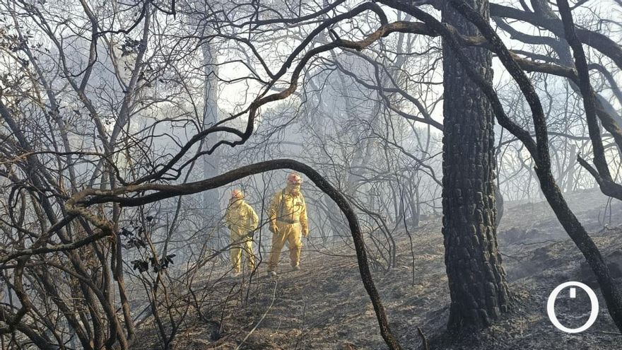 "Debemos prepararnos para lidiar con los incendios, porque vamos a convivir con ellos"
