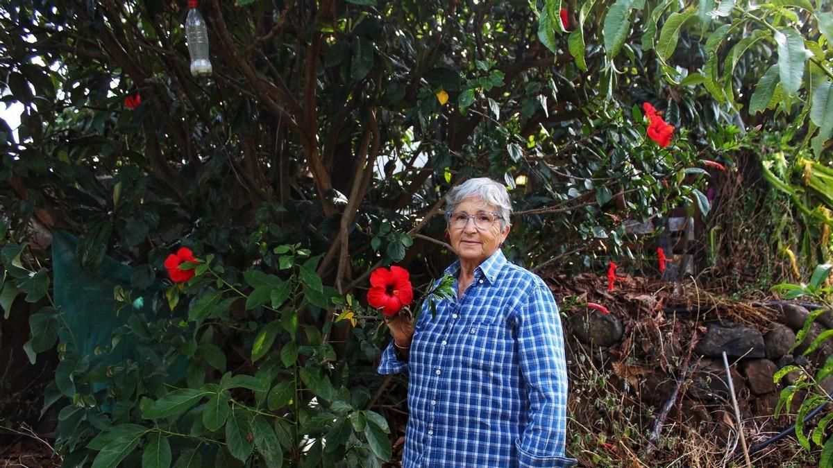 La medicina popular protagoniza el homenaje de Garafía en el Día de las Mujeres Rurales