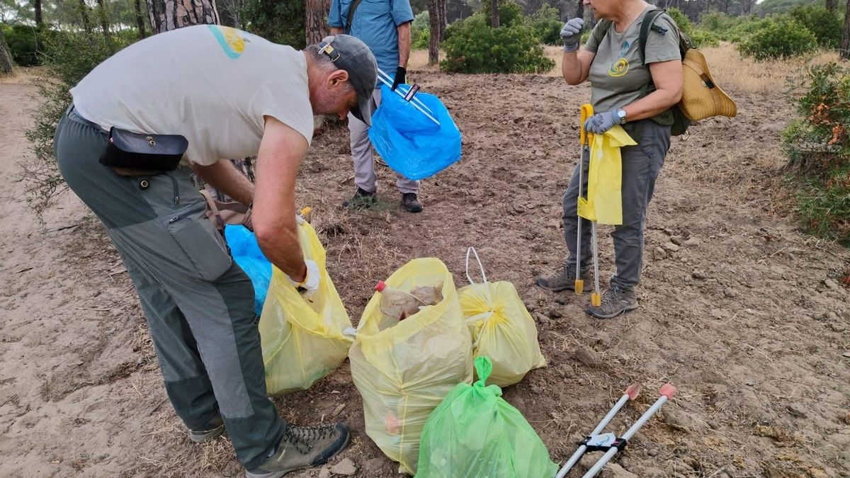 Los voluntarios, durante las labores de limpieza del parque.
