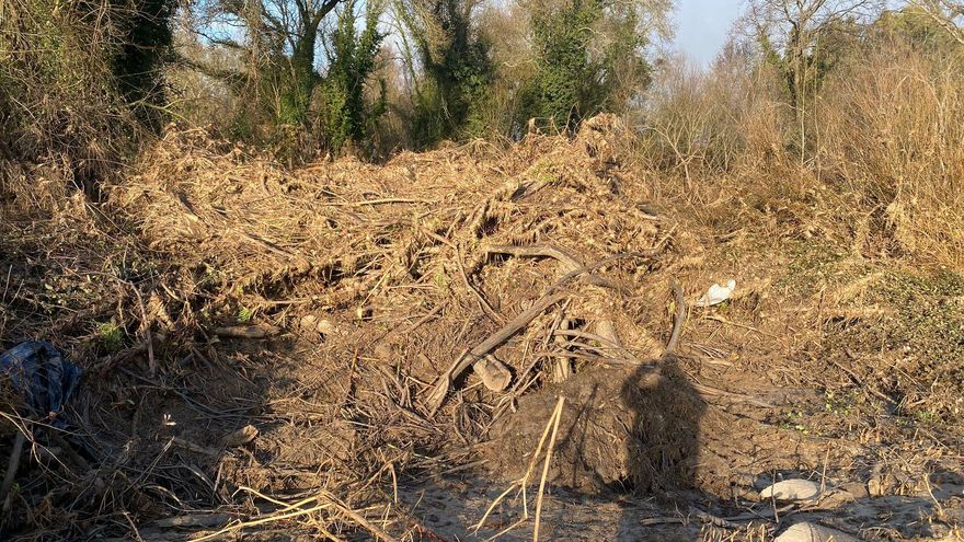 ASAJA insta a la Confederación del Tajo a limpiar los cauces para evitar inundaciones en la comarca de Talavera