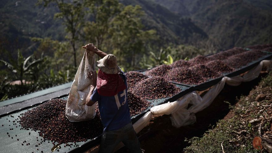 La OCDE rebaja al 3,1 % la proyección de crecimiento económico para Costa Rica en 2025