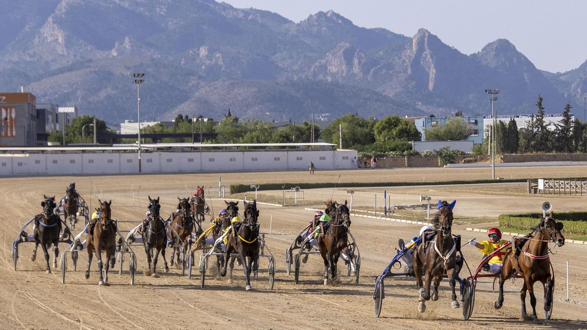 PP y Vox aumentaron las subvenciones al hipódromo de Mallorca sin licencia acusado de "maltrato animal"