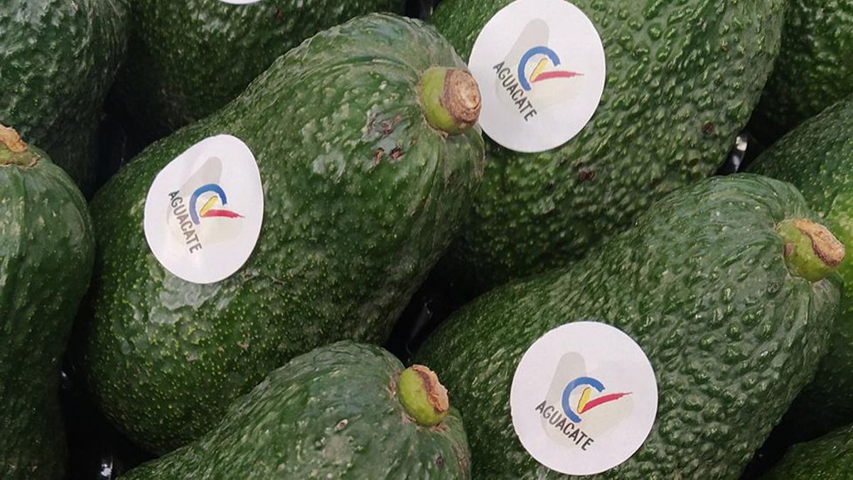 Marca d'Alvocats de la Comunitat Valenciana.