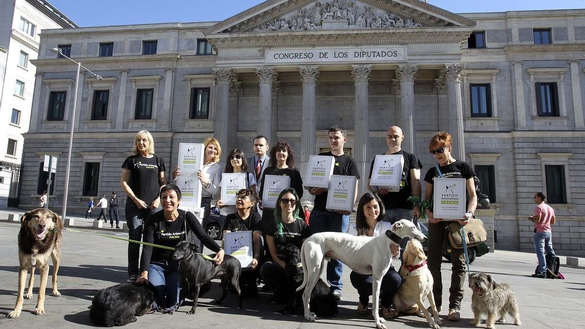 Podemos tantea a PACMA para reforzar su candidatura de confluencia ante la repetición electoral