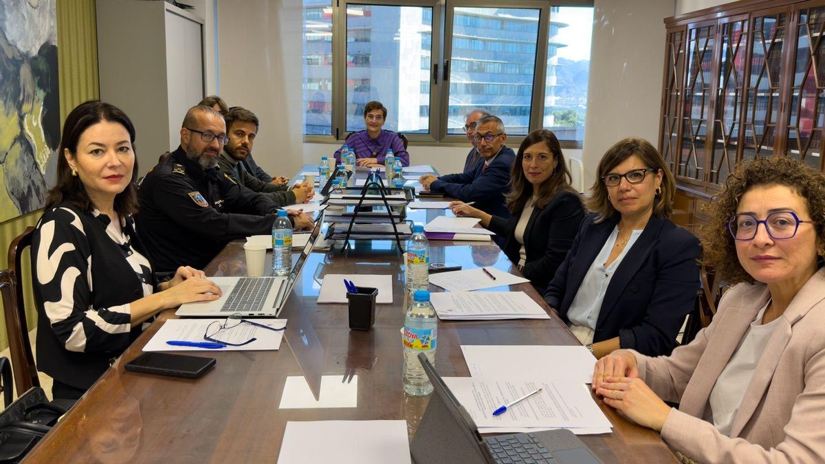 El Tribunal Superior de Justicia de Canarias reitera la necesidad de poner en marcha las oficinas de asistencia a las víctimas