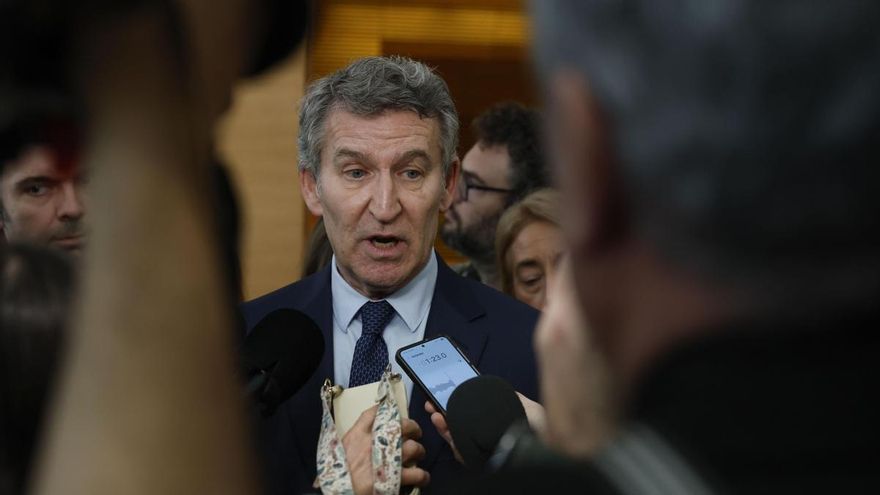 El líder del PP, Alberto Núñez Feijóo
