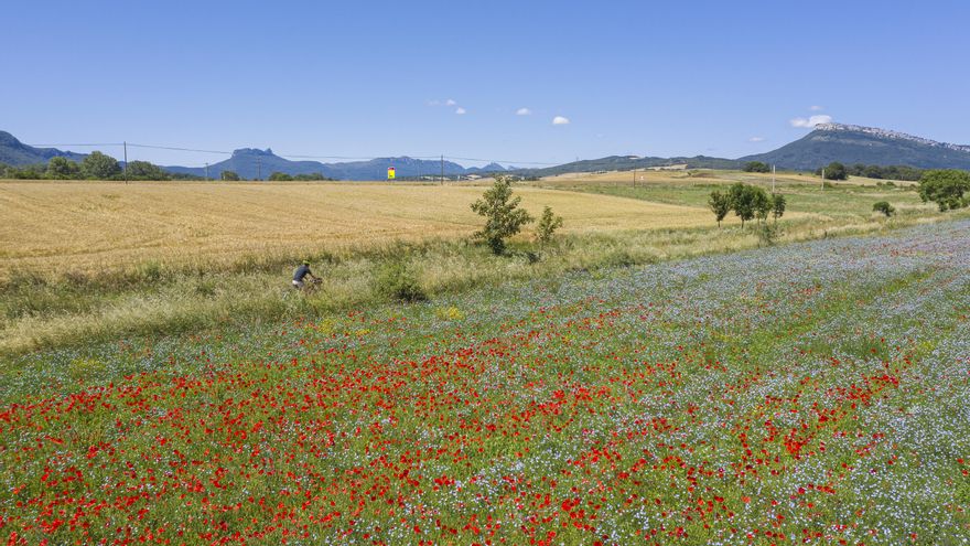 La vía verde, a su paso por Campezo