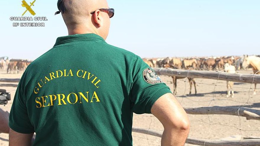 La jueza del caso Mediador pide las inspecciones del Seprona desde 2019 hasta la actualidad