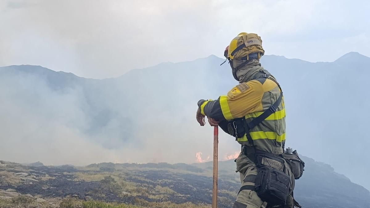 Un forestal trabaja en la extinción del incendio de Canseco.