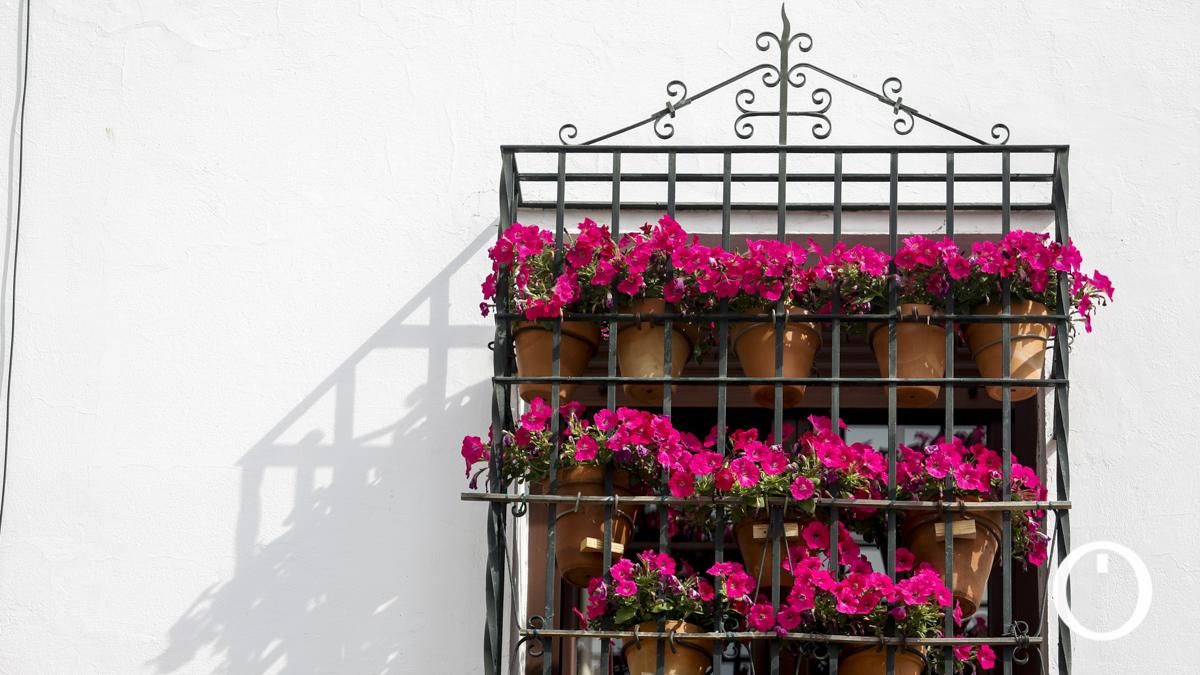 Rejas y Balcones en la Plaza Conde de Priego, 3