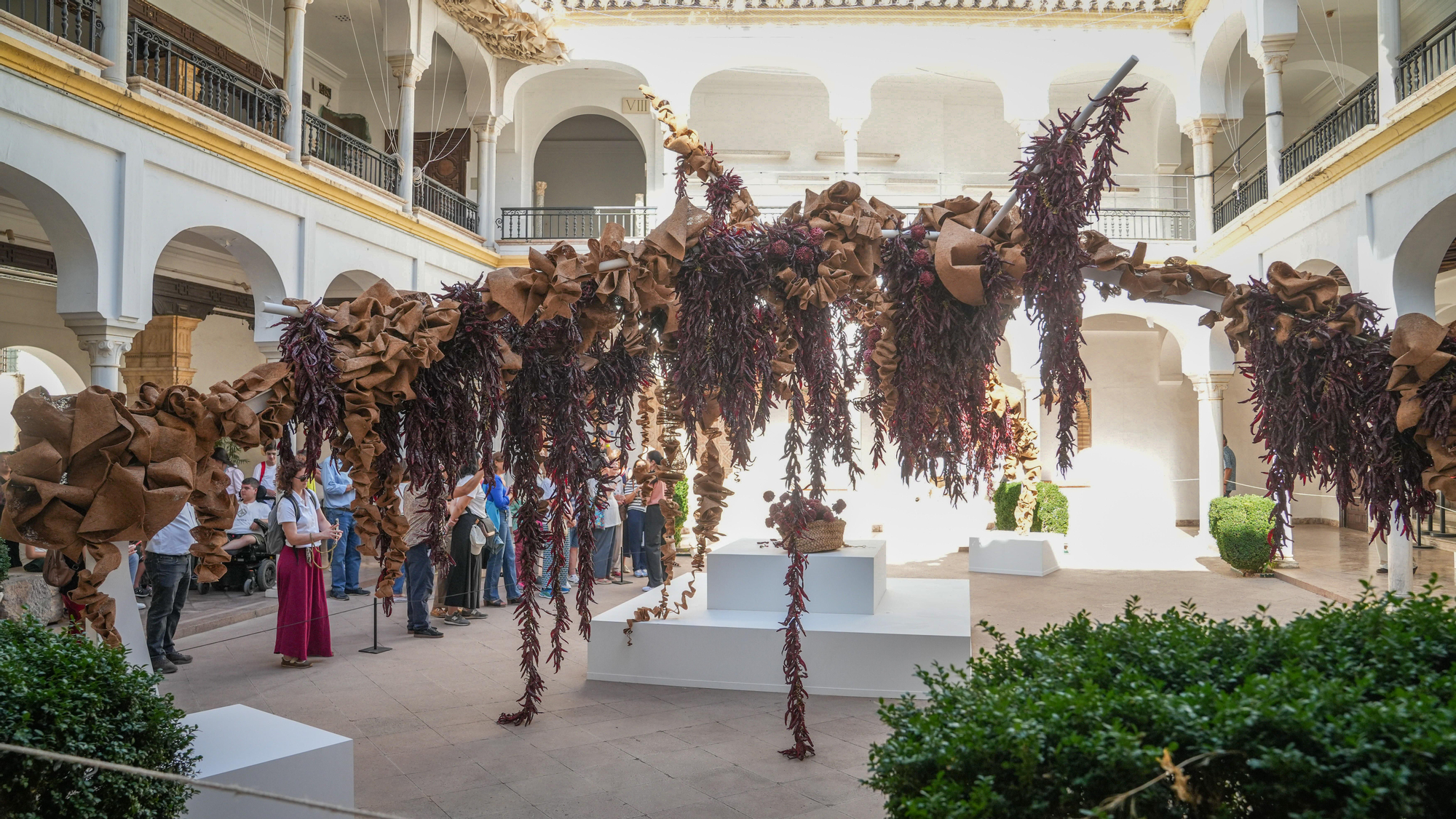 FLORA 2026 - Taller Banegas (Museo Arqueológico de Córdoba)