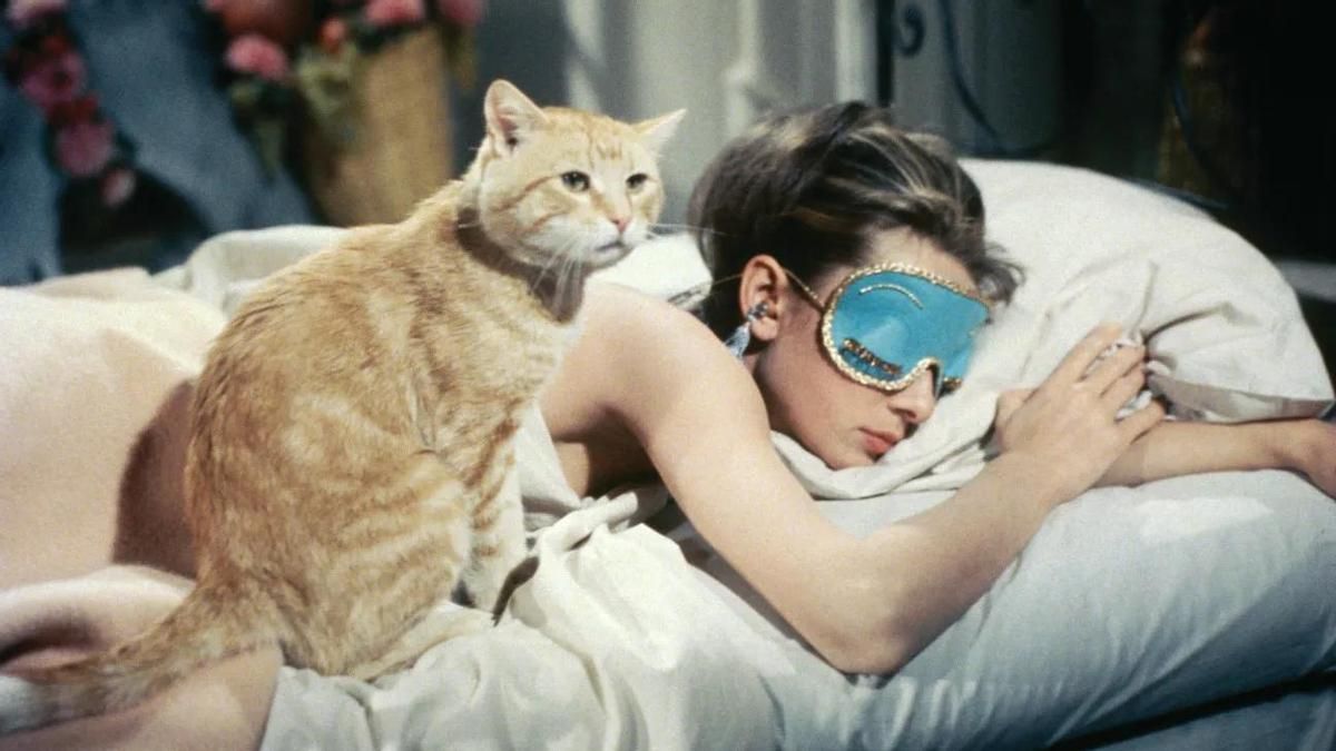 Audrey Hepburn junto a su inseparable gato Orangey en 'Desayuno con diamantes'