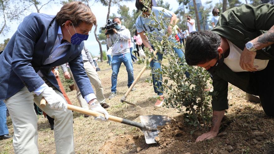 Almeida promete 500.000 plantaciones después de un mandato marcado por las talas y por perder 78.616 árboles adultos