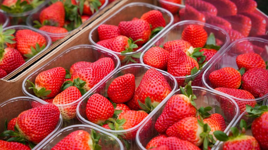 Cómo conservar las fresas: apunta estos sencillos trucos para que no se pongan malas