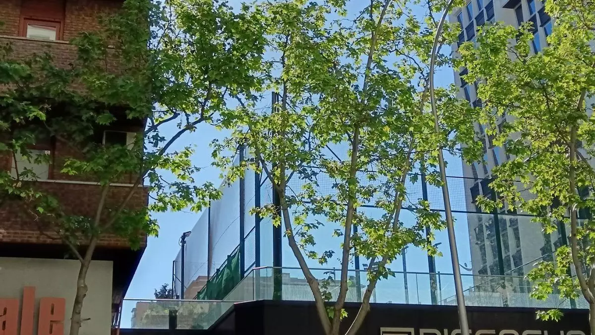 Distancia entre las ventanas del edificio contiguo a las Pistas de Pádel Ruidosas, Madrid