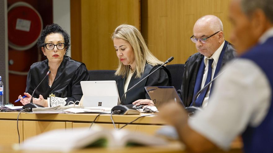 Un técnico sostiene que Emalsa sólo depuraba el 20% del agua y que la mayoría “se tiraba al mar” contaminada