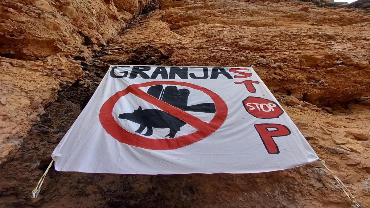 Rechazo vecinal a una granja porcina en el entorno de los Mallos de Riglos: "Pone en riesgo nuestro paisaje”
