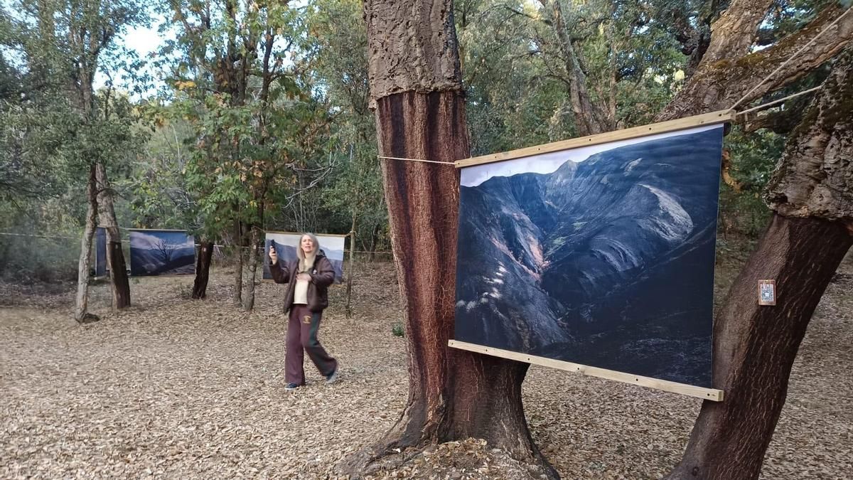El arte y la naturaleza se fusionan en el Zofreral de Cobrana con la inauguración de la exposición ‘Pálpito’
