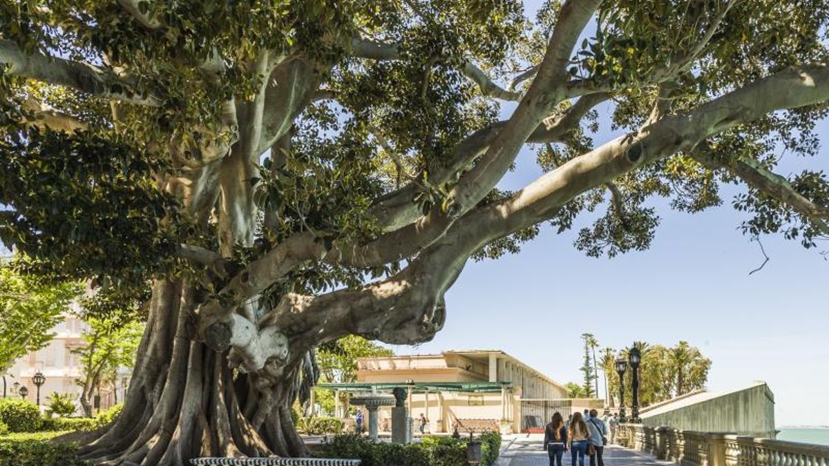 El jardín fue declarado como Bien de Interés Cultural.