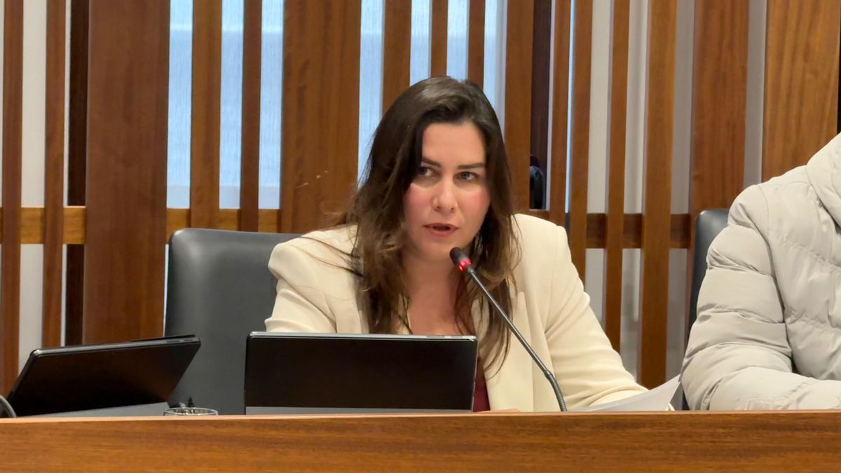 Mónica Gómez,  consejera de Medio Ambiente del Cabildo de La Palma.