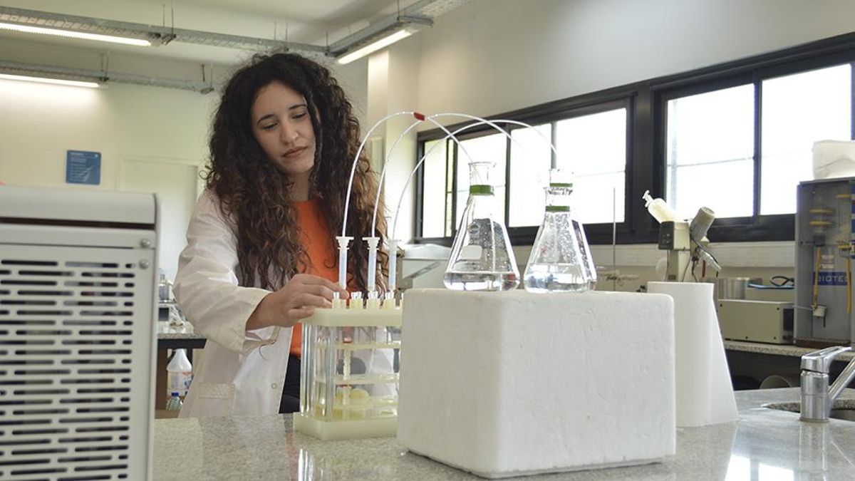 Un estudio del Conicet confirma la presencia de paracetamol, ibuprofeno y viagra en el Río de la Plata: las razones