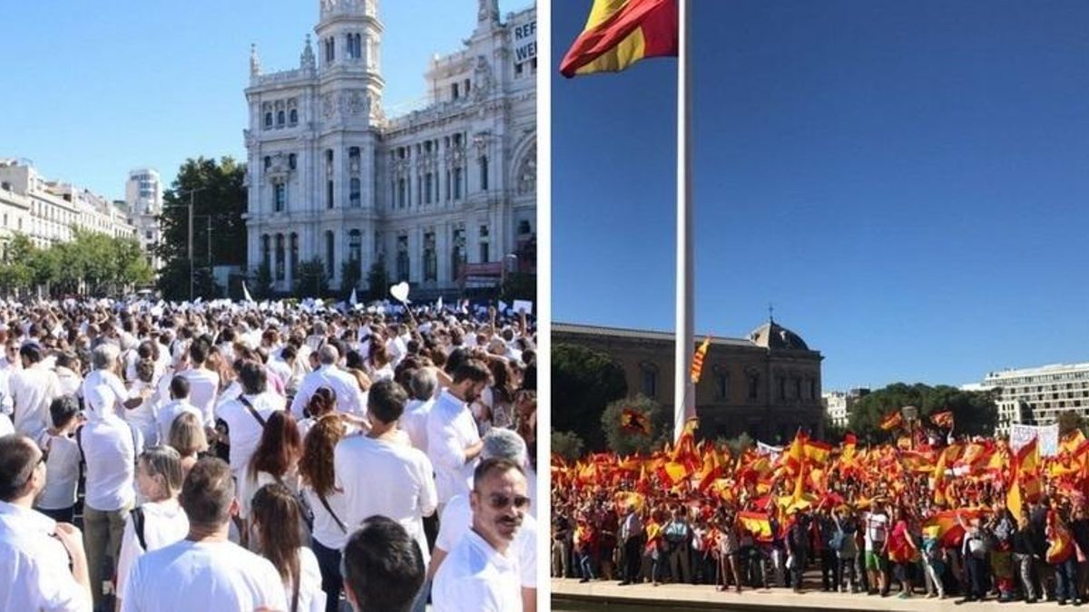 Delegación de Gobierno cifra en 50.000 los asistentes a la concentración de Colón y en 1.500 en Cibeles
