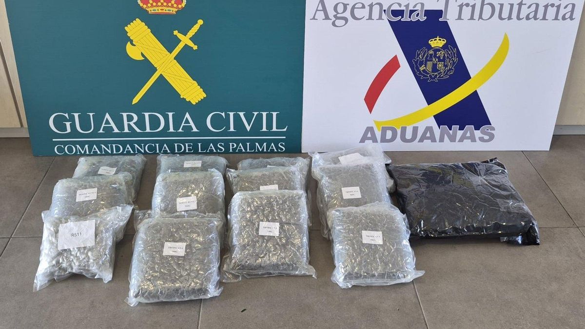 Detenido un pasajero en el Aeropuerto de Gran Canaria con casi ocho kilos de marihuana en su equipaje