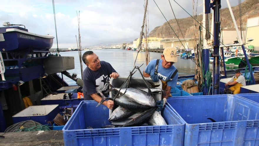 La Dirección General de Pesca del Gobierno canario vuelve a retrasar el abono de hasta 8,3 millones en ayudas del año 2024