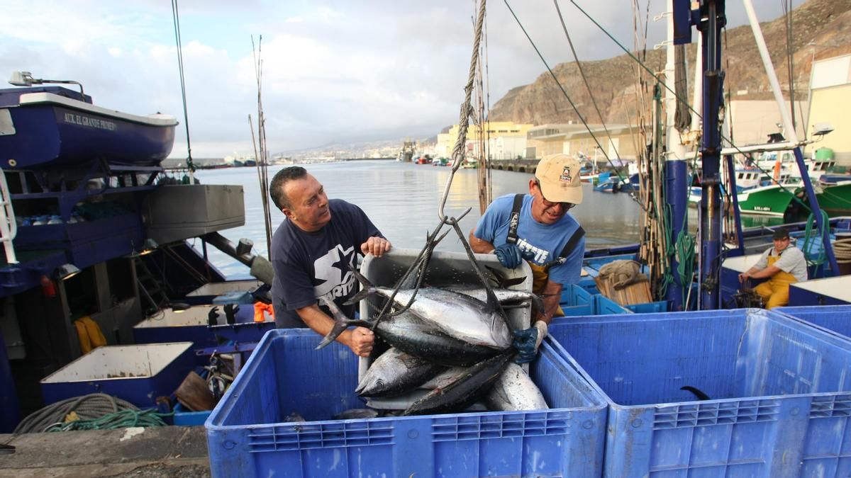 La Dirección General de Pesca del Gobierno canario vuelve a retrasar el abono de hasta 8,3 millones en ayudas del año 2024