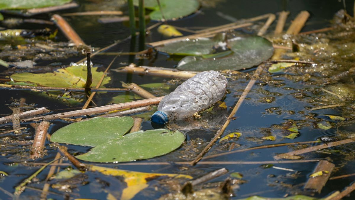 Sembrar conciencia en Castilla-La Mancha: auxilio urgente para nuestro planeta