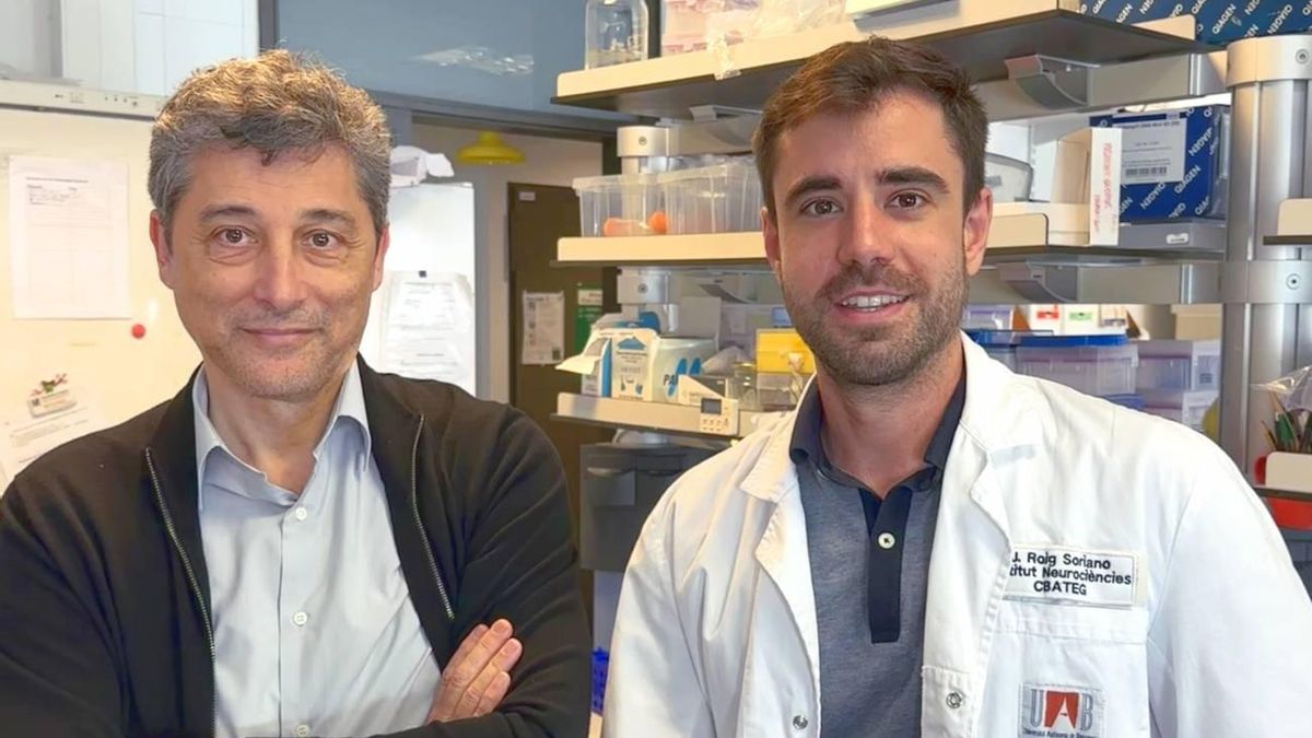 Científicos españoles comprueban que la proteína klotho prolonga la esperanza de vida