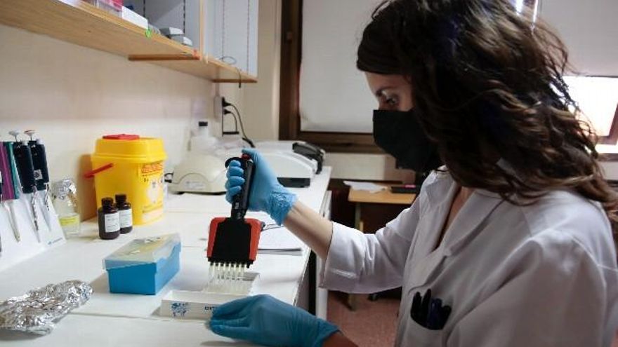 La veterinaria Ester Hevia, durante su jornada en el laboratorio. / Campillo / ICAL