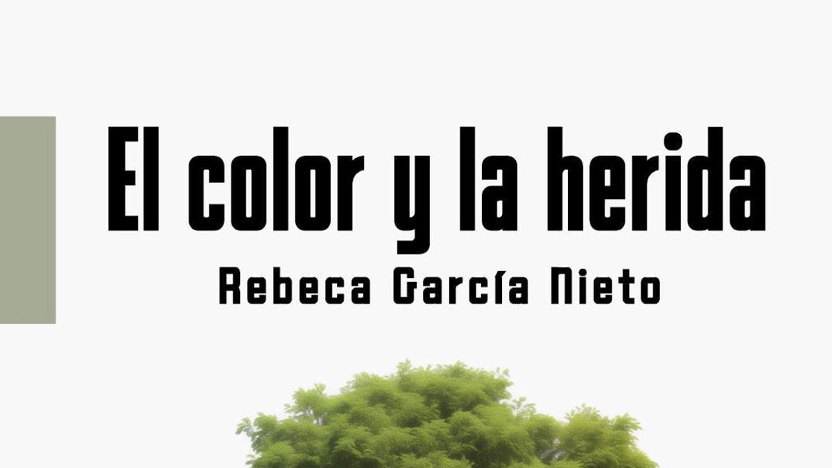 Cubierta del libro 'El color y la herida', de Rebeca García Nieto