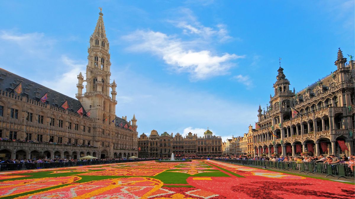 Este es el epicentro de Bruselas: la plaza bañada en oro que se tiñe con un manto de flores una vez al año