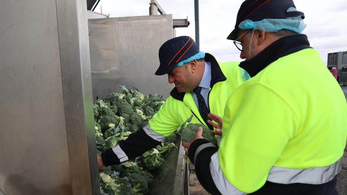 Las ayudas por la sequía de Castilla-La Mancha se amplían hasta llegar a 5.546 agricultores de 158 municipios