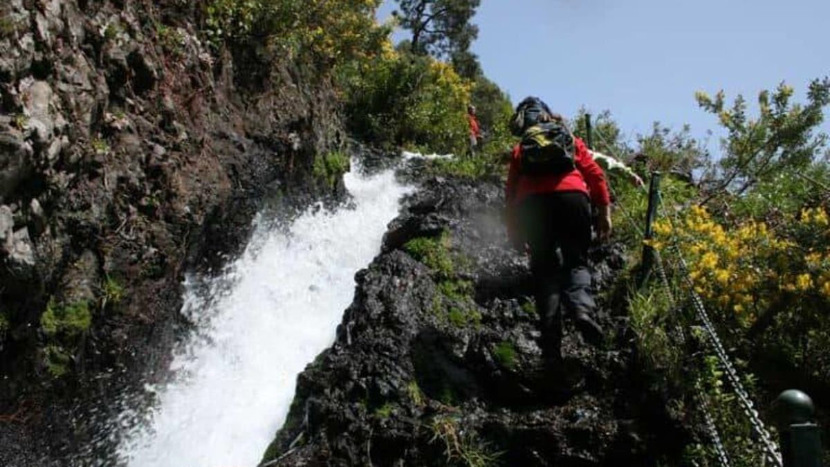 Nacientes de Marcos y Cordero.RESERVA DE LA BIOSFERA
